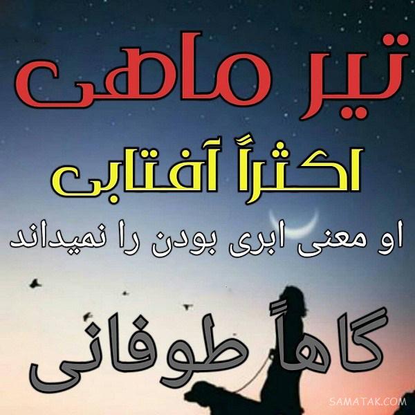 عکس پروفایل تیر ماهی دخترونه + عکس پروفایل تیر ماهی ها