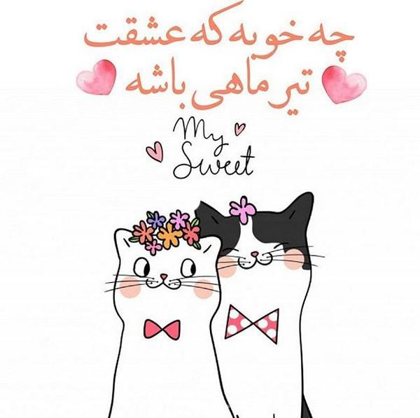 تیرماهی جان تولدت مبارک (عکس نوشته، شعر، متن، پروفایل) تیرماهی جان تولدت مبارک (عکس نوشته، شعر، متن، پروفایل)