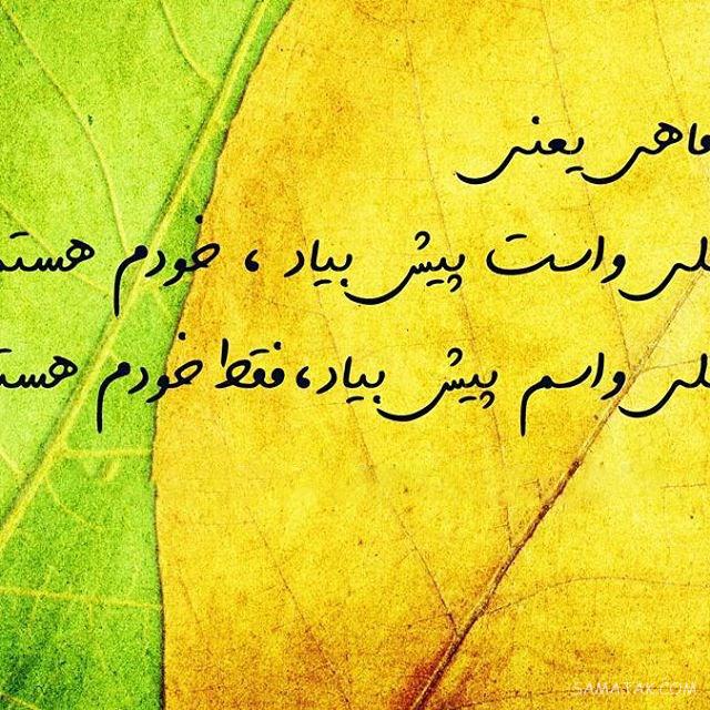 عکس پروفایل تیر ماهی دخترونه + عکس پروفایل تیر ماهی ها