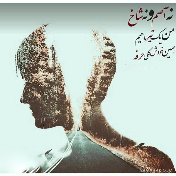 عکس پروفایل تیر ماهی دخترونه + عکس پروفایل تیر ماهی ها