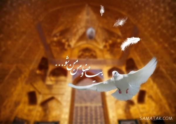 تولدت مبارک امام رضا جونم | امام رضا جانم تولدت مبارک