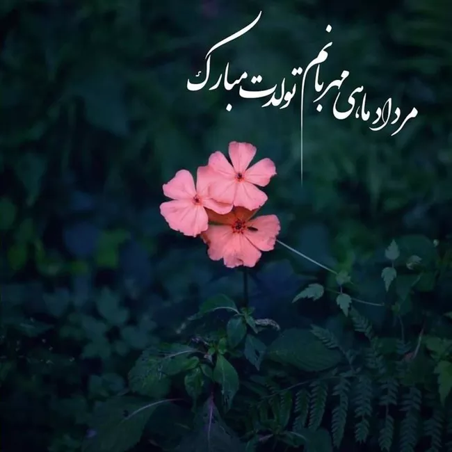 متن فوق العاده زیبا برای تولد همسر مردادی 4 تولد همسر مردادی 3