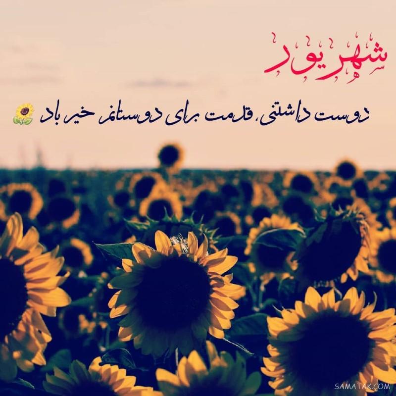 شهریور ماهی جان تولدت مبارک (عکس نوشته، شعر، متن، پروفایل)