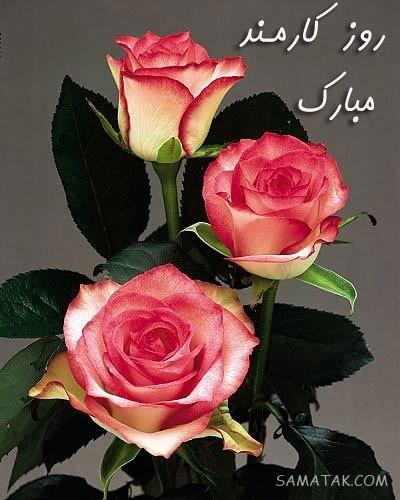 متن تبریک روز کارمند به همسر - شوهر - عشقم Employee Day متن تبریک روز کارمند به همسر - شوهر - عشقم Employee Day