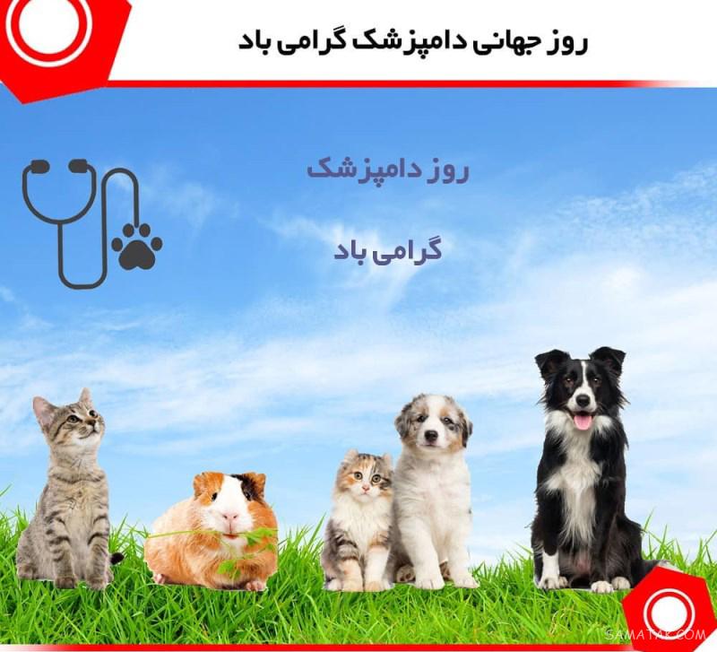 عکس نوشته تبریک روز دامپزشک + عکس پروفایل روز دامپزشک مبارک