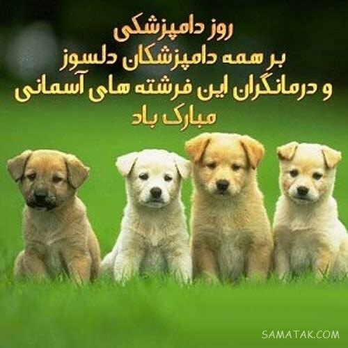 عکس نوشته تبریک روز دامپزشک + عکس پروفایل روز دامپزشک مبارک