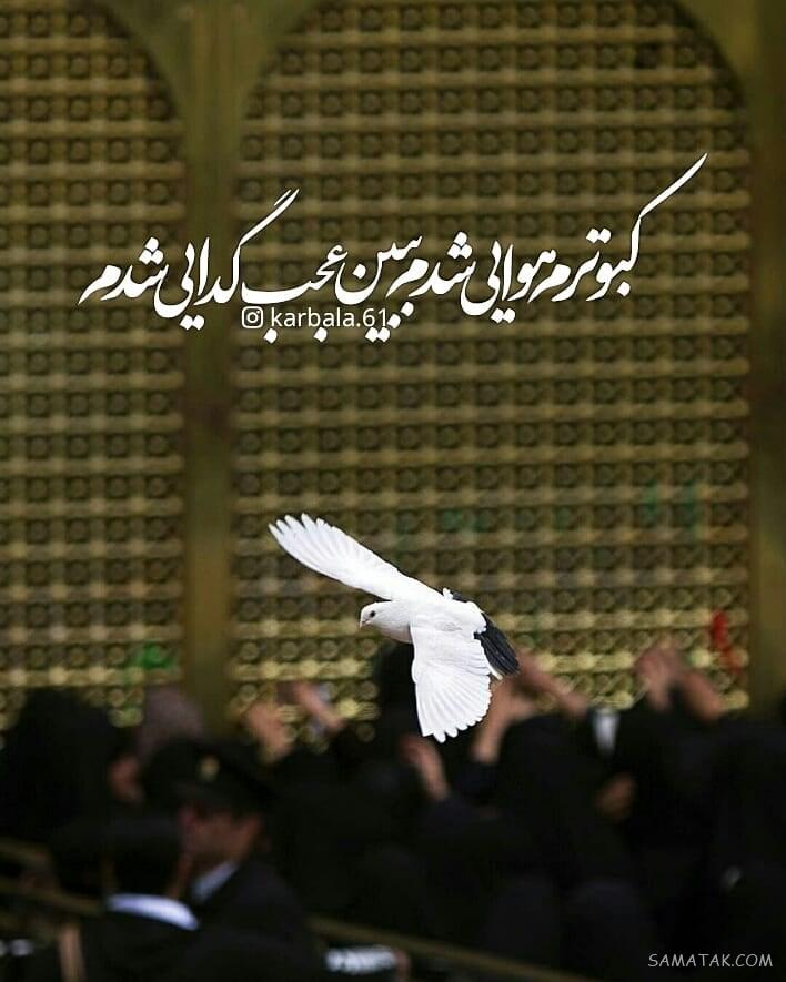 دلنوشته شهادت امام رضا | پروفایل زیباترین دلنوشته برای امام رضا