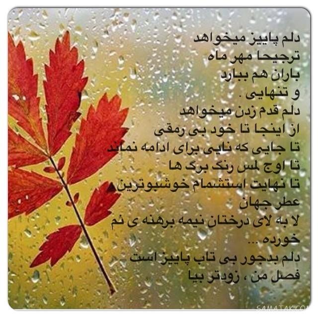 مهر ماهی جان تولدت مبارک مهر ماهی جان تولدت مبارک