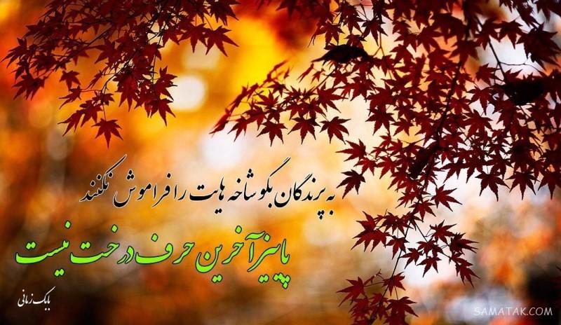 مهر ماهی جان تولدت مبارک مهر ماهی جان تولدت مبارک