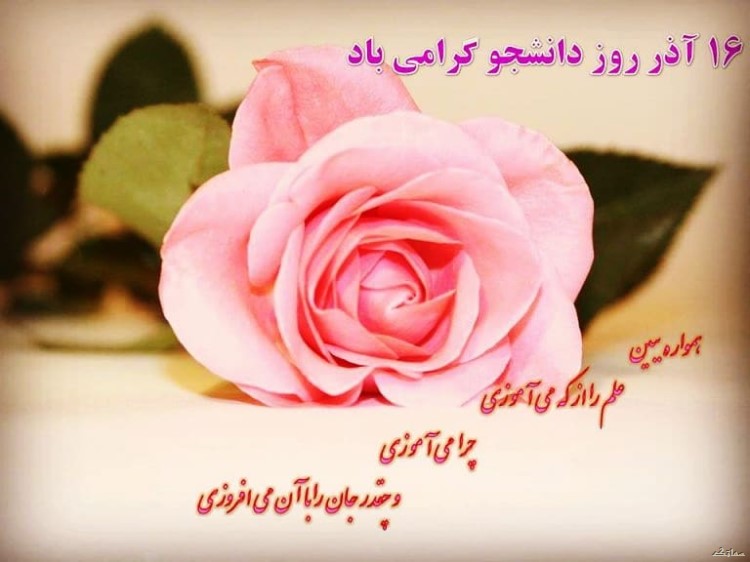 عکس نوشته تبریک روز دانشجو | عکس پروفایل روز دانشجو مبارک عکس نوشته تبریک روز دانشجو | عکس پروفایل روز دانشجو مبارک