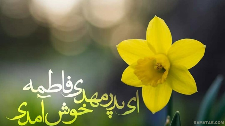 عکس نوشته ولادت امام حسن عسکری | عکس پروفایل تولد امام حسن عسکری عکس نوشته ولادت امام حسن عسکری | عکس پروفایل تولد امام حسن عسکری