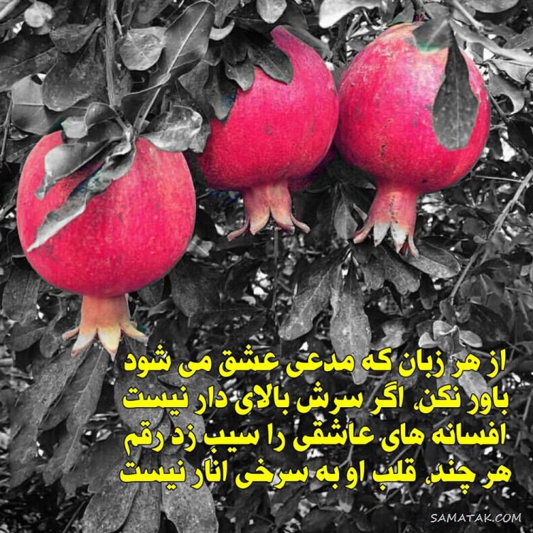 عکس نوشته شب یلدا ۱۴۰۵ با کیفیت بالا