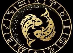 1112746442 samatak com