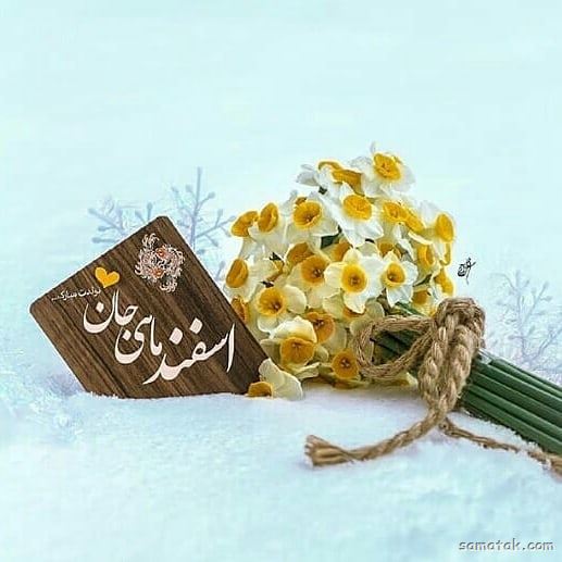 اسفند ماهی جان تولدت مبارک (عکس نوشته، شعر، متن، پروفایل) اسفند ماهی جان تولدت مبارک (عکس نوشته، شعر، متن، پروفایل)