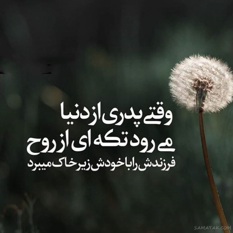 عکس پروفایل پدر دوستت دارم | عکس نوشته پروفایل تشکر از پدر