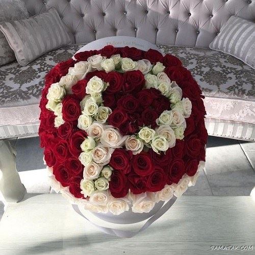 عکس حرف p انگلیسی برای پروفایل | عکس نوشته عاشقانه حرف p
