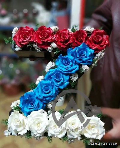 عکس نوشته حرف z انگلیسی برای پروفایل عکس نوشته حرف z انگلیسی برای پروفایل