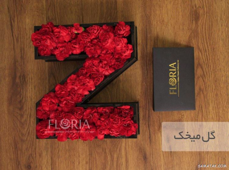 عکس نوشته حرف z انگلیسی برای پروفایل عکس نوشته حرف z انگلیسی برای پروفایل
