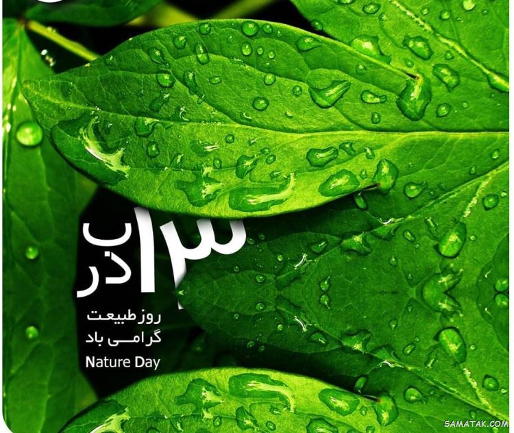 پیام تبریک روز طبیعت | متن زیبا در مورد روز طبیعت پیام تبریک روز طبیعت | متن زیبا در مورد روز طبیعت
