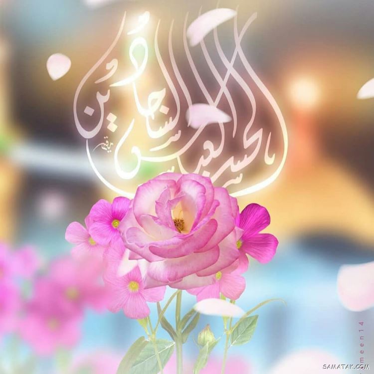 عکس نوشته ولادت حضرت ابوالفضل عکس نوشته ولادت حضرت ابوالفضل