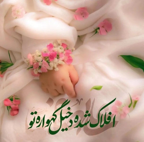 عکس ولادت امام جواد علیه السلام 19 عکس ولادت امام جواد 19