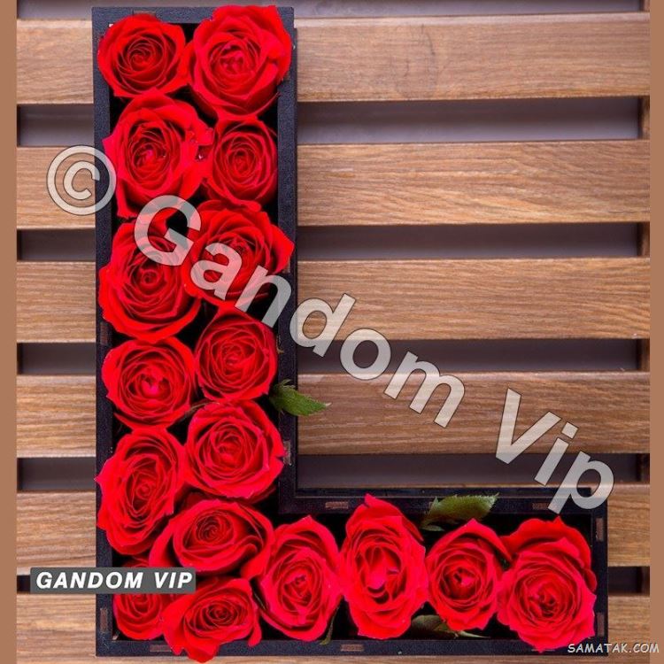 عکس نوشته حرف L انگلیسی برای پروفایل