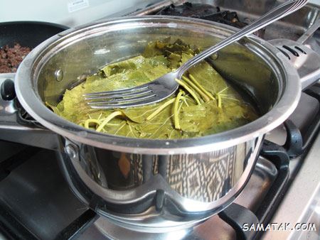 نحوه نگهداری برگ مو در آب نمک + چگونگی نگهداری برگ مو در فریزر نحوه نگهداری برگ مو در آب نمک + چگونگی نگهداری برگ مو در فریزر