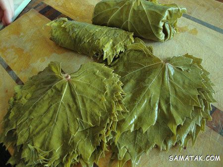 نحوه نگهداری برگ مو در آب نمک + چگونگی نگهداری برگ مو در فریزر نحوه نگهداری برگ مو در آب نمک + چگونگی نگهداری برگ مو در فریزر