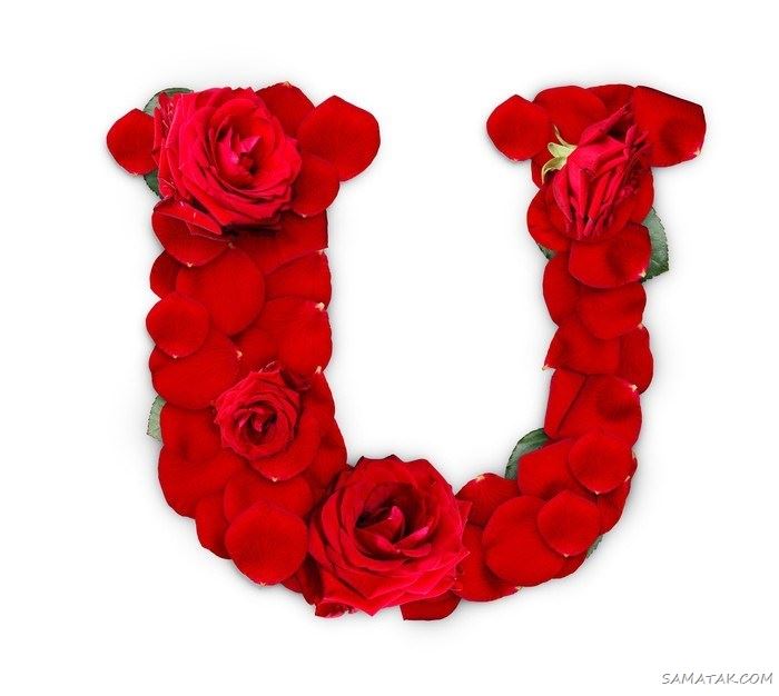 عکس حرف u عاشقانه برای پروفایل | عکس نوشته حرف u انگلیسی عکس حرف u عاشقانه برای پروفایل | عکس نوشته حرف u انگلیسی