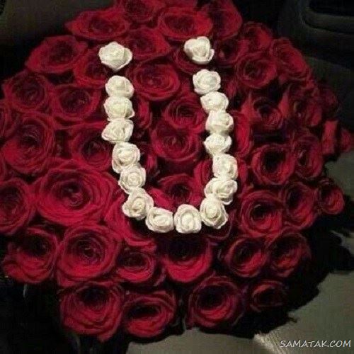 عکس حرف u عاشقانه برای پروفایل | عکس نوشته حرف u انگلیسی عکس حرف u عاشقانه برای پروفایل | عکس نوشته حرف u انگلیسی