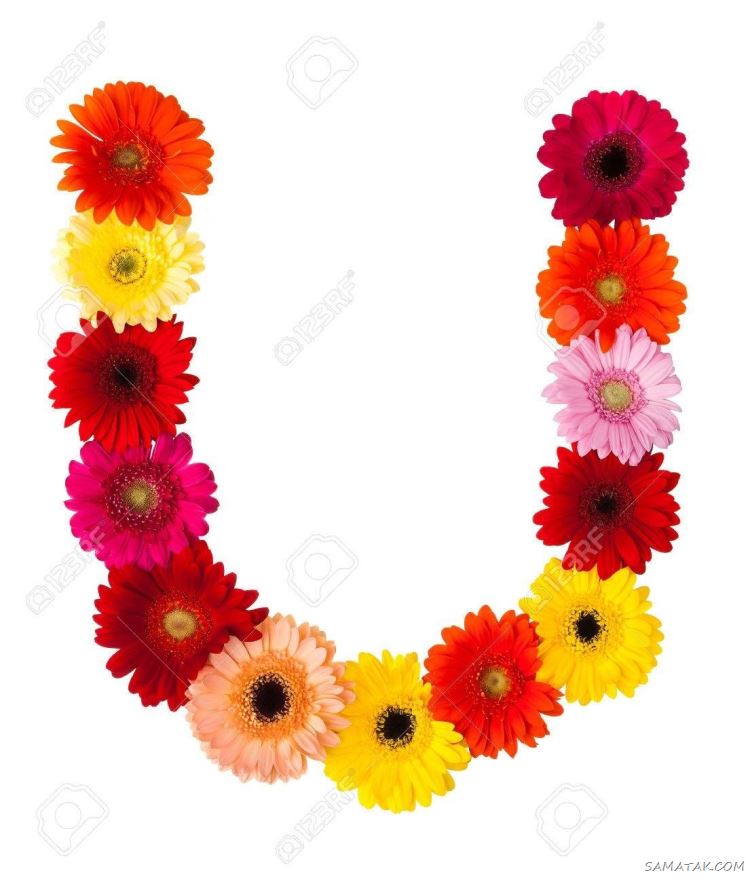 عکس حرف u عاشقانه برای پروفایل | عکس نوشته حرف u انگلیسی عکس حرف u عاشقانه برای پروفایل | عکس نوشته حرف u انگلیسی
