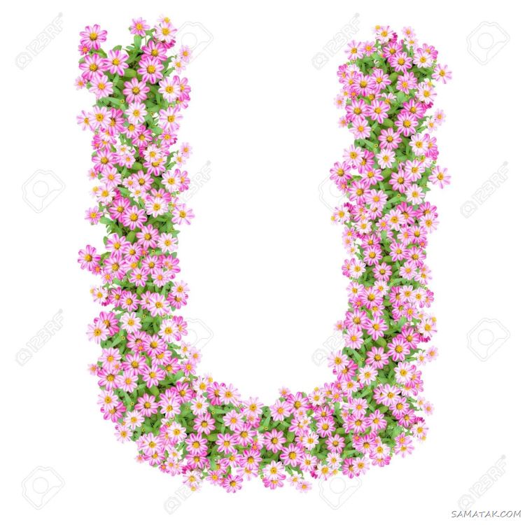 عکس حرف u عاشقانه برای پروفایل | عکس نوشته حرف u انگلیسی عکس حرف u عاشقانه برای پروفایل | عکس نوشته حرف u انگلیسی