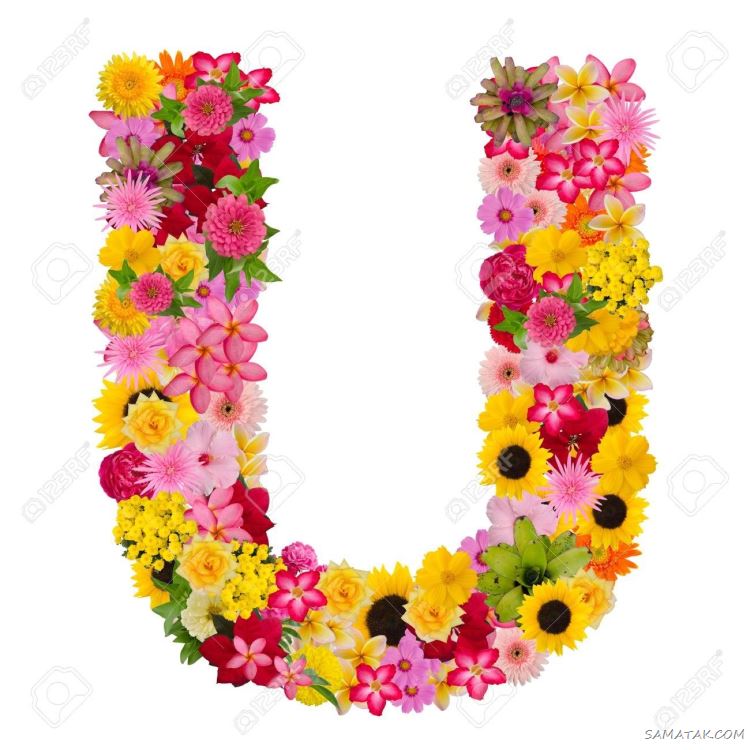 عکس حرف u عاشقانه برای پروفایل | عکس نوشته حرف u انگلیسی عکس حرف u عاشقانه برای پروفایل | عکس نوشته حرف u انگلیسی