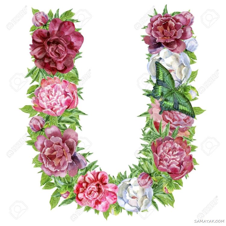 عکس حرف u عاشقانه برای پروفایل | عکس نوشته حرف u انگلیسی عکس حرف u عاشقانه برای پروفایل | عکس نوشته حرف u انگلیسی