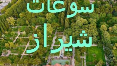 سوغات خوراکی شیراز چیست + عرقیات معروف شیراز 7 1171435768 samatak com