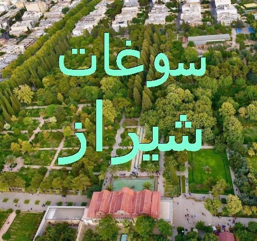 سوغات خوراکی شیراز چیست + عرقیات معروف شیراز 1 1171435768 samatak com