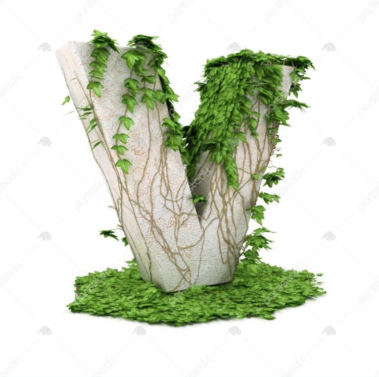 عکس حرف v عاشقانه برای پروفایل | عکس نوشته حرف v انگلیسی عکس حرف v عاشقانه برای پروفایل | عکس نوشته حرف v انگلیسی