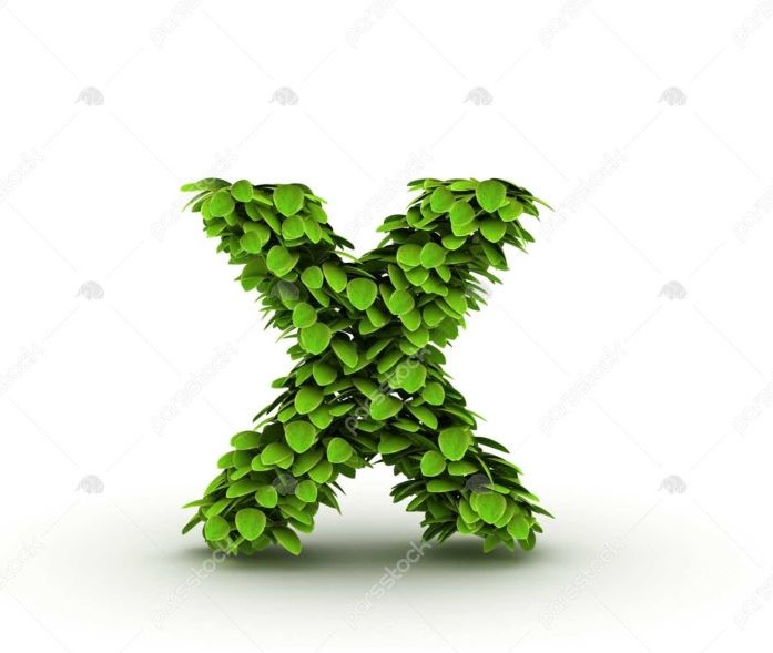 عکس نوشته حرف X انگلیسی برای پروفایل عکس نوشته حرف X انگلیسی برای پروفایل