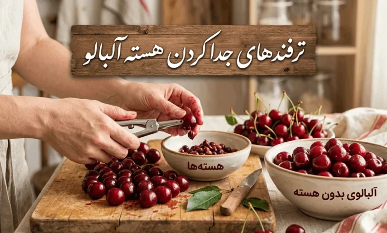 بهترین روش برای درآوردن هسته آلبالو 1 درآوردن هسته آلبالو