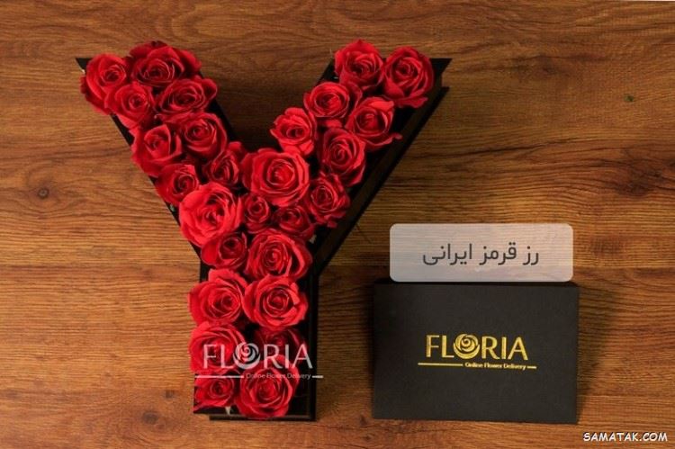 عکس نوشته حرف y انگلیسی برای پروفایل عکس نوشته حرف y انگلیسی برای پروفایل