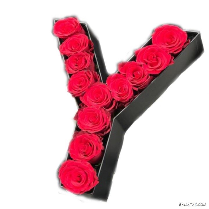 عکس نوشته حرف y انگلیسی برای پروفایل عکس نوشته حرف y انگلیسی برای پروفایل