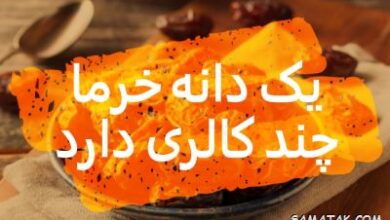 کالری خرما چقدر است | یک دانه خرما چند کالری دارد 8 1697519445 samatak com