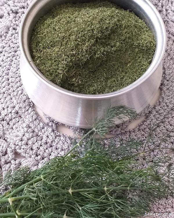 چگونه شوید را خشک کنیم + بهترین روش نگهداری شوید خشک چگونه شوید را خشک کنیم + بهترین روش نگهداری شوید خشک