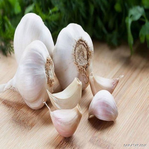 طبع سیر سرد است یا گرم (تازه - خشک - پخته) 3 طبع سیر در طب سنتی