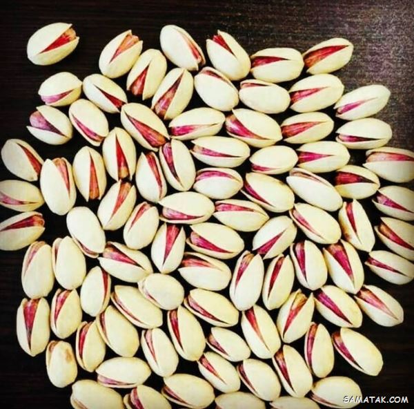 روش خشک کردن پسته تازه در خانه | چگونه پسته تازه را خشک کنیم