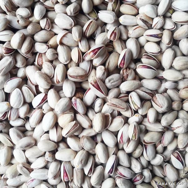 روش خشک کردن پسته تازه در خانه | چگونه پسته تازه را خشک کنیم
