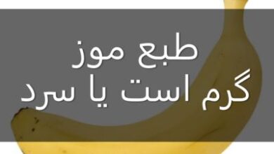طبع موز گرم است یا سرد | طبع موز از نظر مزاجی چیست 104 484805664 samatak com