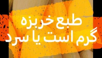 طبع خربزه سرد است یا گرم از نظر طب سنتی و مصلحات 129 طبع خربزه سرد است یا گرم