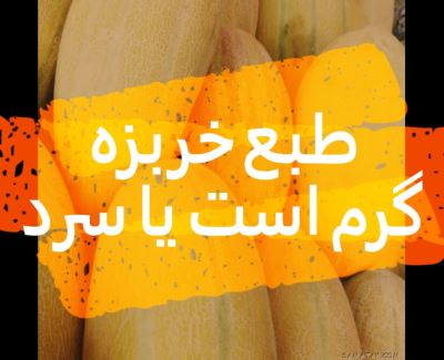 طبع خربزه گرم است یا سرد | طبع خربزه از نظر طب سنتی 1 1120001615 samatak com