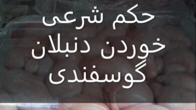 خوردن دنبلان گوسفندی چه حکمی دارد 33 1262718799 samatak com